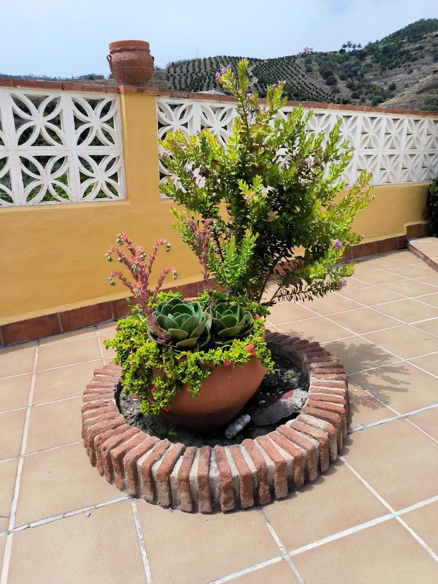 הוילה מאלגה Cortijo Maria Gomez מראה חיצוני תמונה